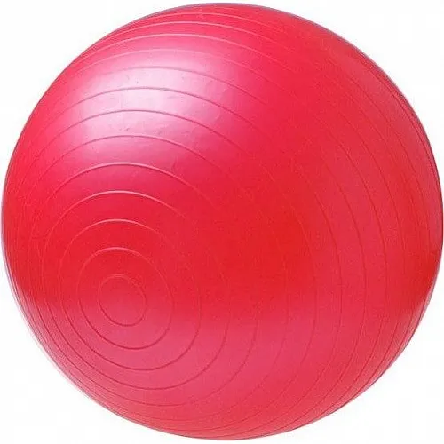 Power Force Μπάλα γυμναστικής GYM BALL WS-6008 Antibrust 55cm