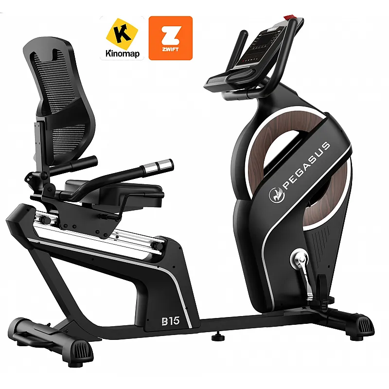Pegasus Turbo B9 Ημιεπαγγελματικό Ποδήλατο Γυμναστικής
