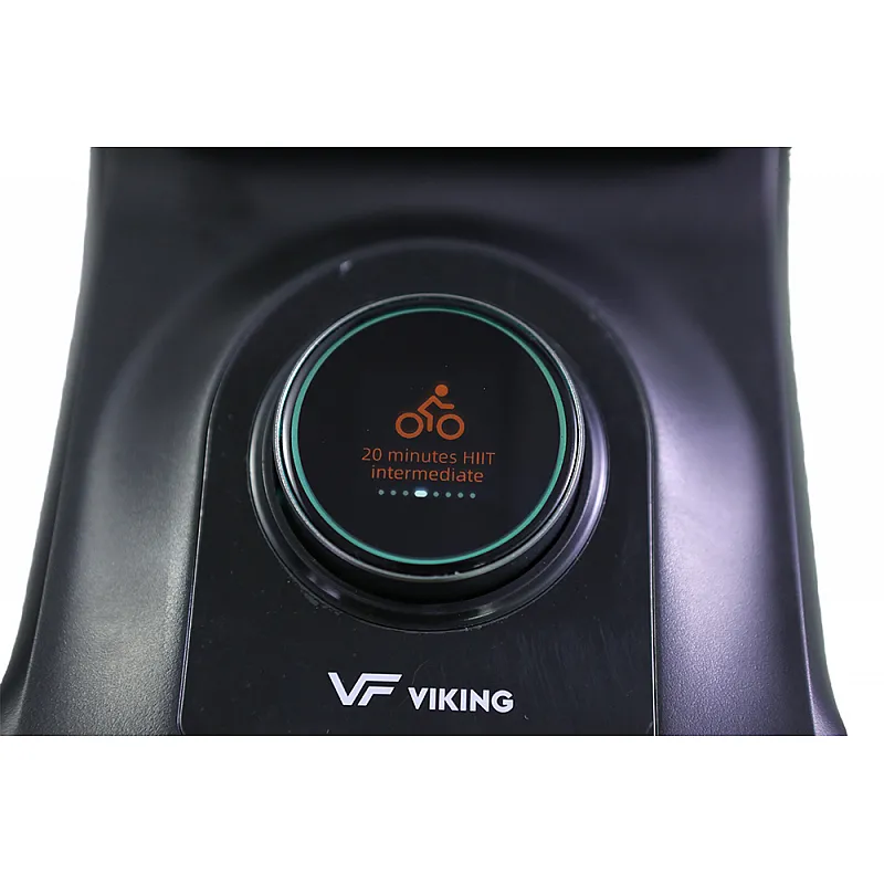 Viking Sparkle Ποδήλατο Spin