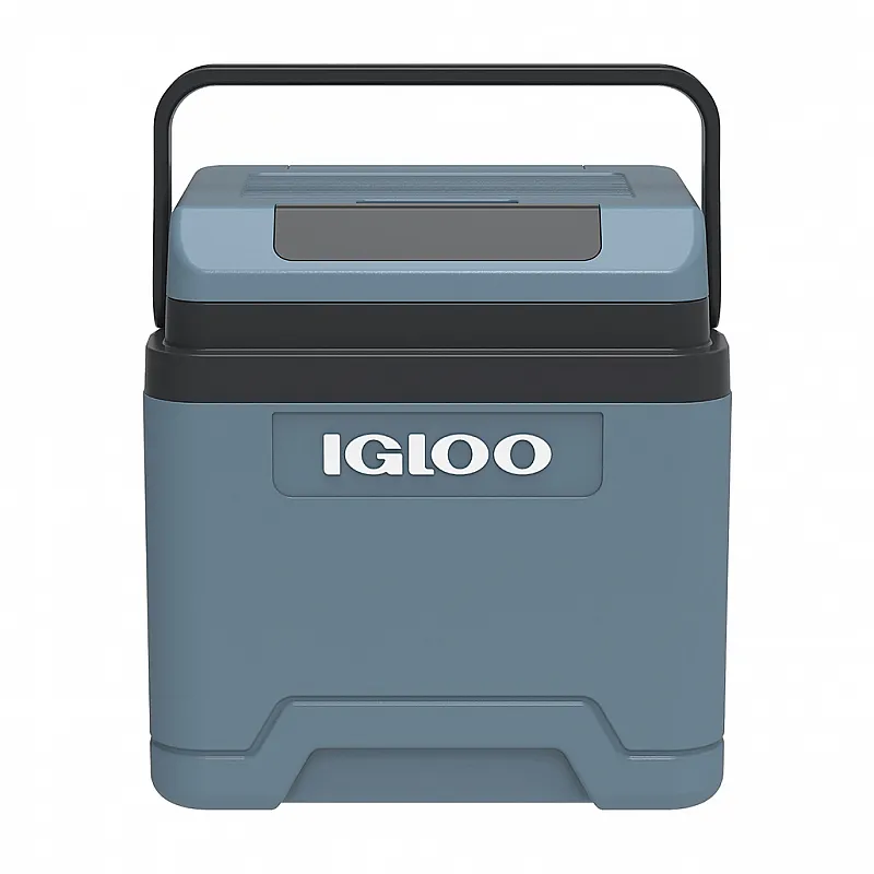 Igloo IE 24 DC θερμοηλεκτρικό Ψυγείο 24L 41126