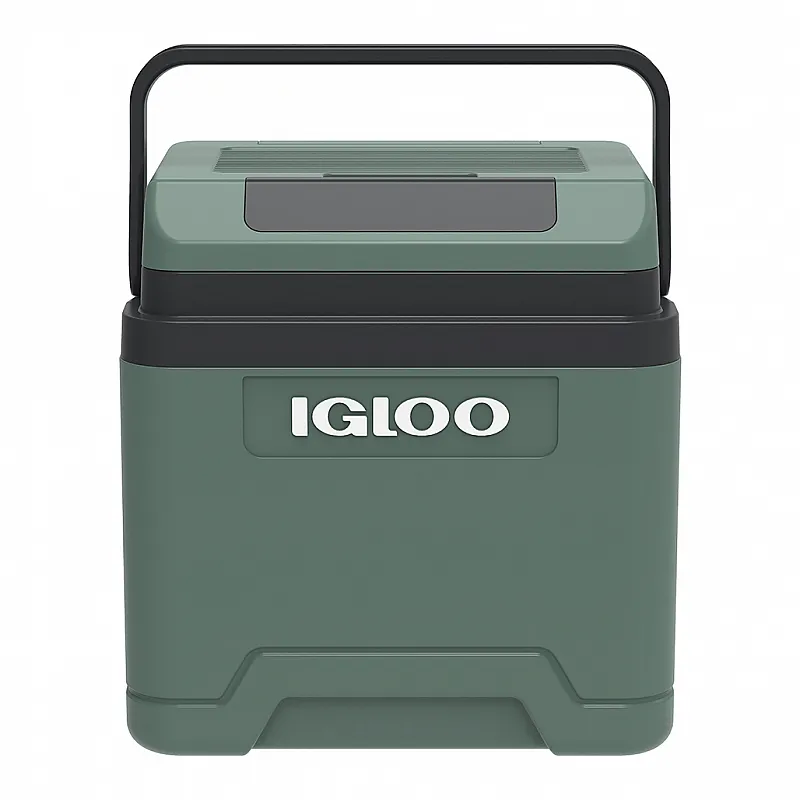 Igloo IE 24 DC θερμοηλεκτρικό Ψυγείο 24L 41126