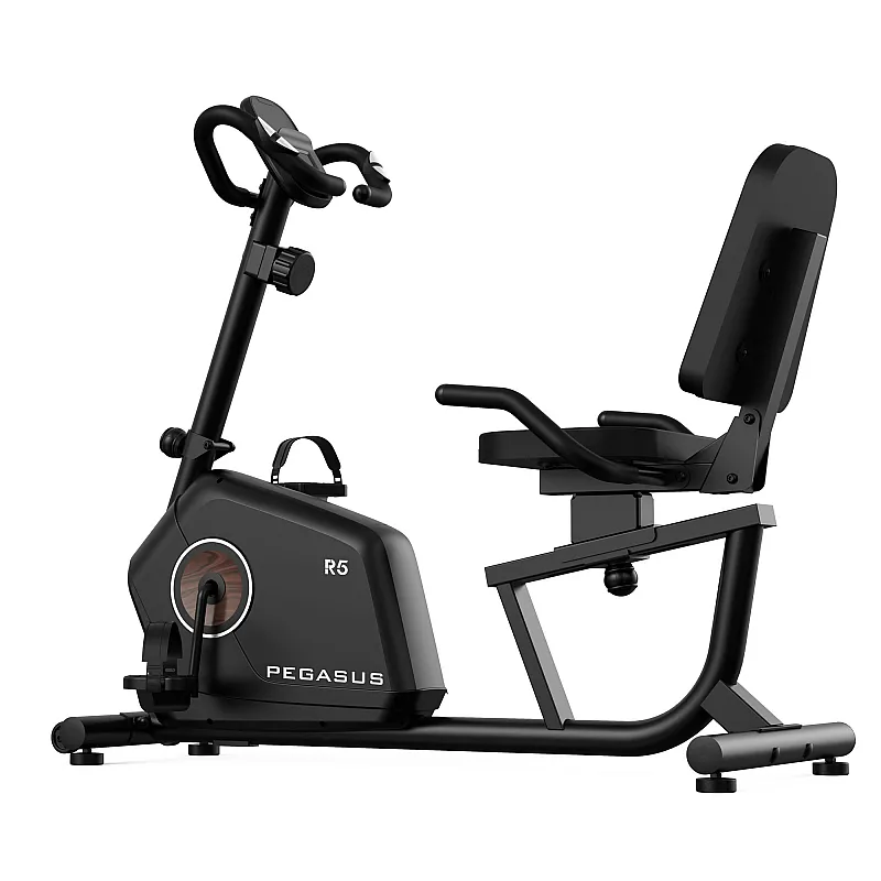 Pegasus R5 Καθιστό Ποδήλατο Γυμναστικής