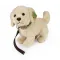 Rappa Λούτρινος Σκύλος Golden Retriever Με Λουράκι 25 εκ. Eco-Friendly (231009)
