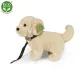 Rappa Λούτρινος Σκύλος Golden Retriever Με Λουράκι 25 εκ. Eco-Friendly (231009)