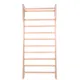 InSportline Dremar Πολύζυγο γυμναστικής 225 x 90cm 8669 - Δίζυγα - Μονόζυγα