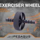 Pegasus Ρόδα Κοιλιακών Premium Β 2008 - Μικροόργανα Ενδυνάμωσης
