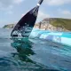 Aztron Κουπί Rebel Cruising / Glass AC-P180 - Σανίδες Sup και αξεσουάρ