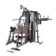InSportline Profigym C300 Πολυόργανο 20764 - Σε 18 Άτοκες Δόσεις - Πολυόργανα με ενσωματωμένα βάρη