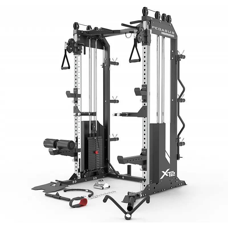 Pegasus Επαγγελματικό Πολυόργανο XT2 (Functional Trainer, Κλωβός, All‑in‑One) - Σε 18 Άτοκες Δόσεις - Επαγγελμ. Εξοπλισμός