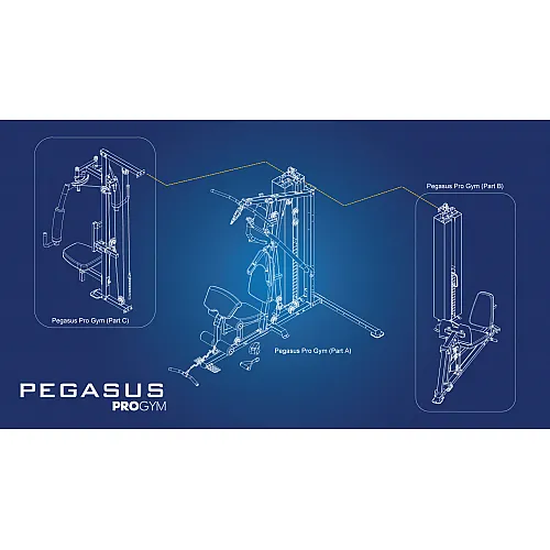 Pegasus Pro Gym 3 MT‑18504‑ABC Λ-645  Ημιεπαγγελματικό Πολυόργανο 3 Θέσεων - Σε 24 Άτοκες Δόσεις