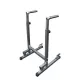 Viking DS-90 Dip Station - Μικροόργανα Ενδυνάμωσης