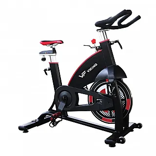 Viking Pro-5 Spin Bike  - Σε 12 Άτοκες Δόσεις