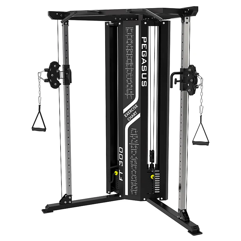 Pegasus Functional Trainer FT‑300
