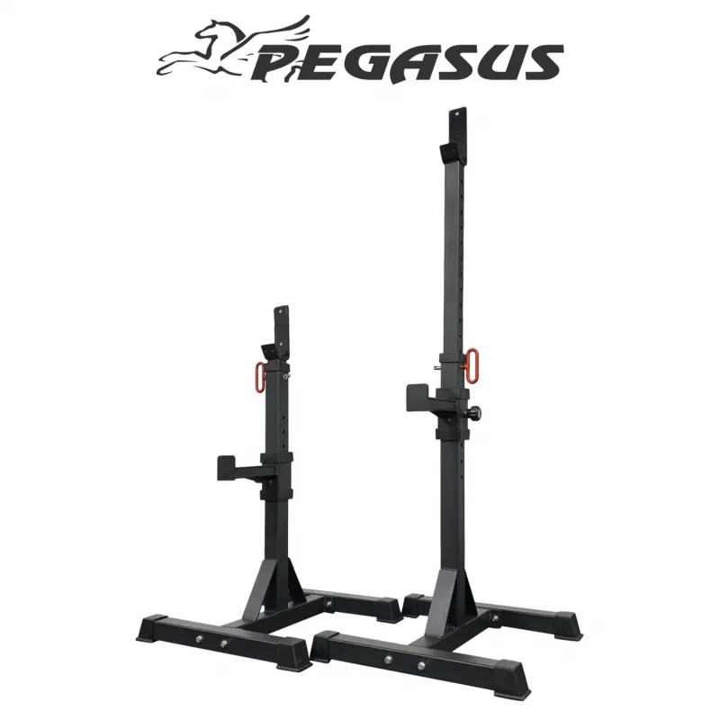 Pegasus JX‑855 Ορθοστάτες Ρυθμιζόμενοι - Ορθοστάτες