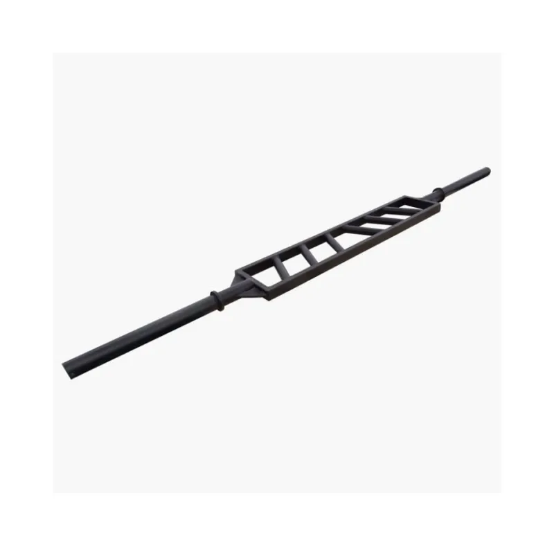 Viking Swiss Bar 105824 - Δίσκοι - Μπάρες - Σετ Αλτήρων