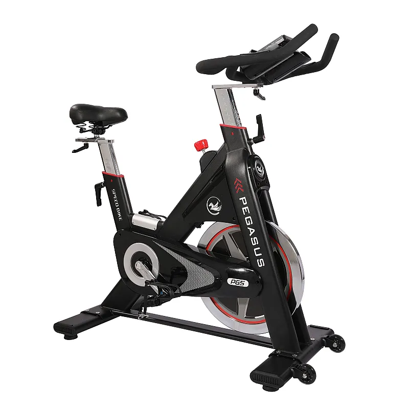 Pegasus Ημιεπαγγελματικό Spin Bike PG5