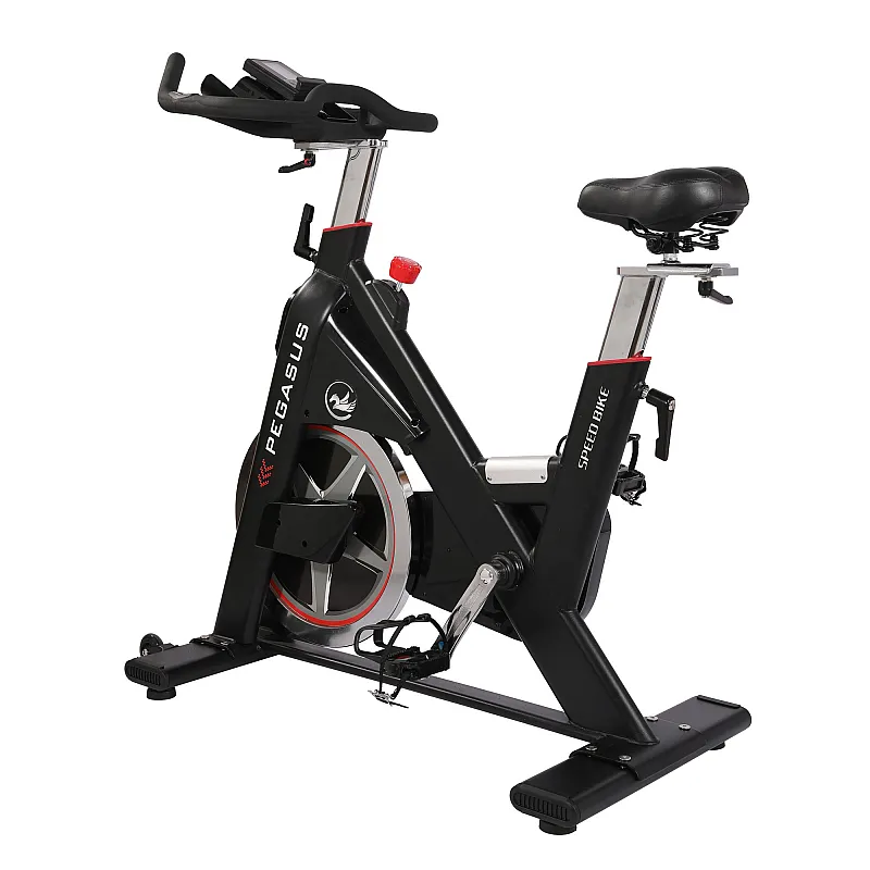 Pegasus Ημιεπαγγελματικό Spin Bike PG5