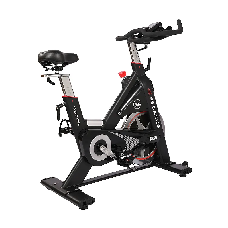 Pegasus Ημιεπαγγελματικό Spin Bike PG5