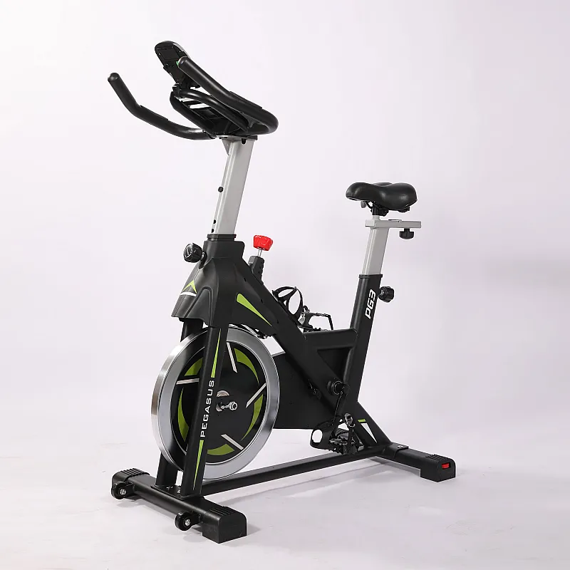 Pegasus Μαγνητικό Ποδήλατο Spin Bike PG3