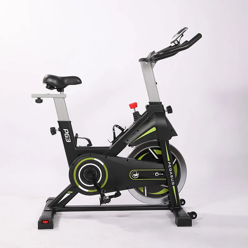 Pegasus Μαγνητικό Ποδήλατο Spin Bike PG3