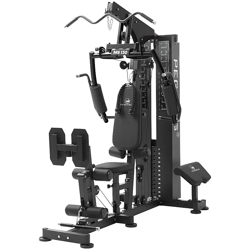 Pegasus Πολυόργανο MS‑130