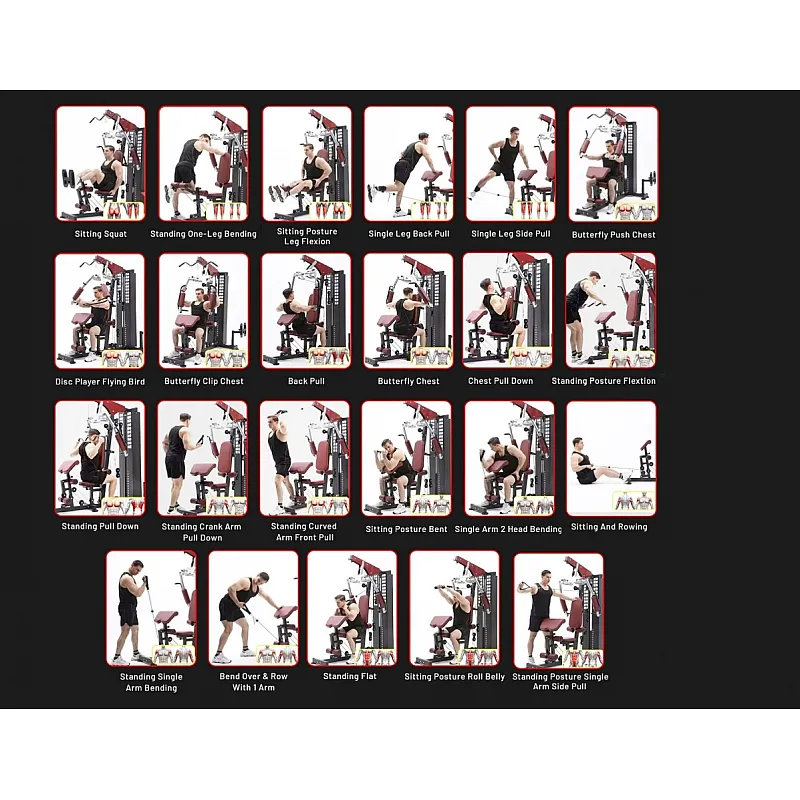 Pegasus Πολυόργανο MS‑130