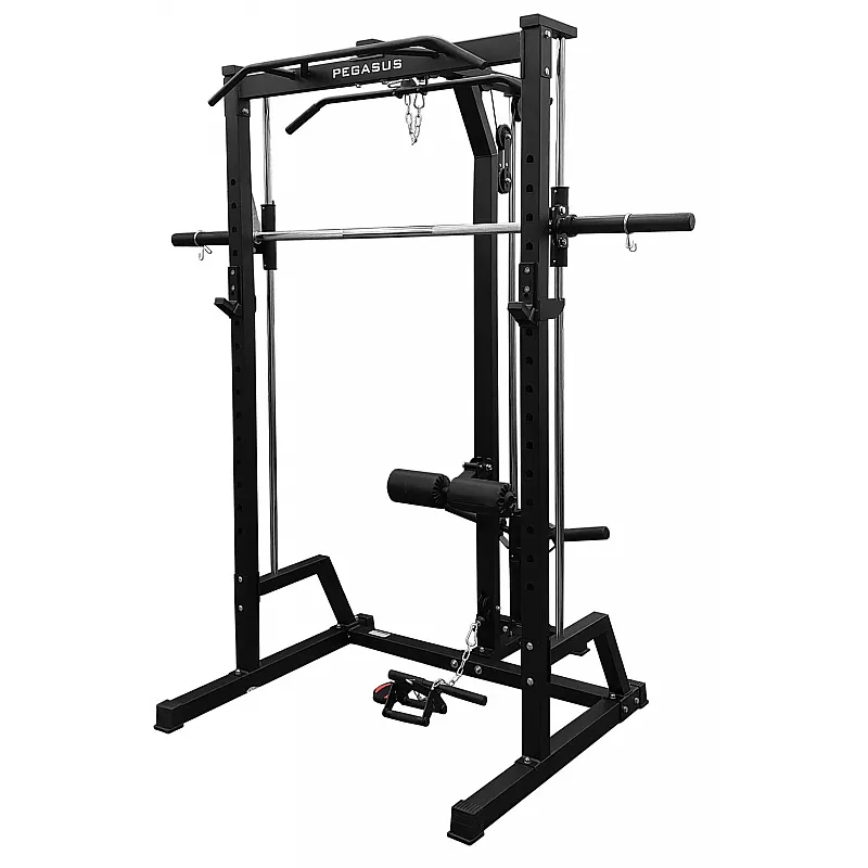 Pegasus HCLT-2004 Μηχανή Smith - Πολυόργανα με πρόσθετα βάρη