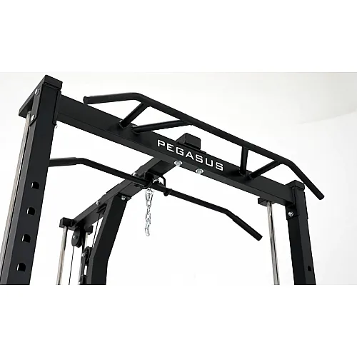 Pegasus S3MF Smith - Σε 12 Άτοκες Δόσεις