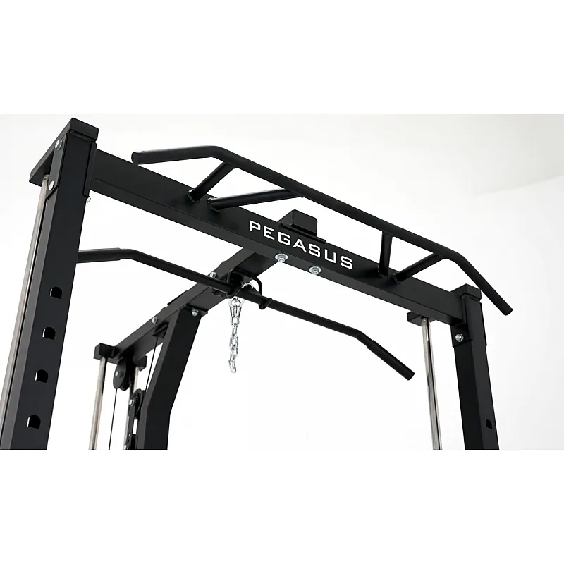 Pegasus HCLT-2004 Μηχανή Smith - Πολυόργανα με πρόσθετα βάρη