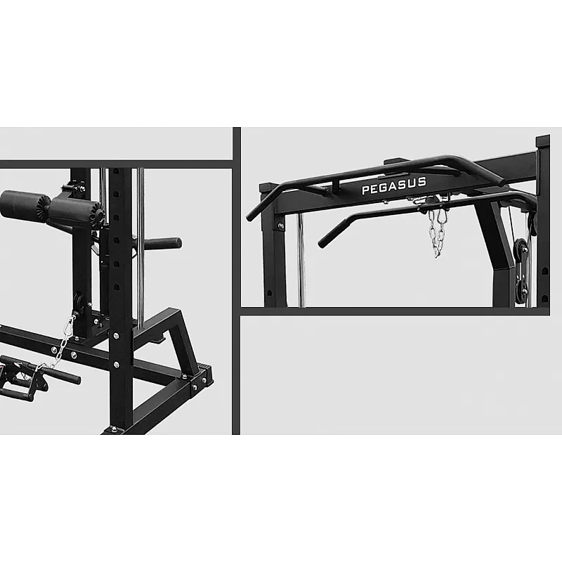 Pegasus HCLT-2004 Μηχανή Smith - Πολυόργανα με πρόσθετα βάρη