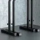 Viking DS-60 Dip Bars