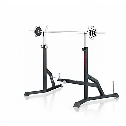 Ορθοστάτες