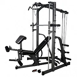 Πολυόργανα με πρόσθετα βάρη