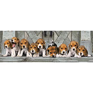 Clementoni Παζλ Panorama High Quality Collection Σκυλάκια Beagles 1000 τμχ