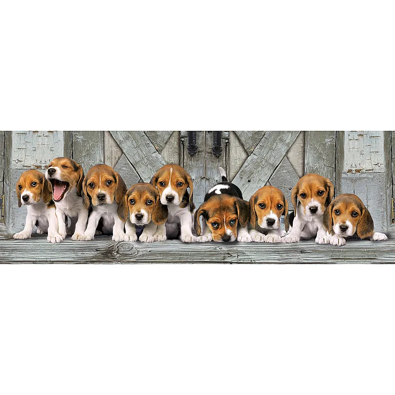 Clementoni Παζλ Panorama High Quality Collection Σκυλάκια Beagles 1000 τμχ