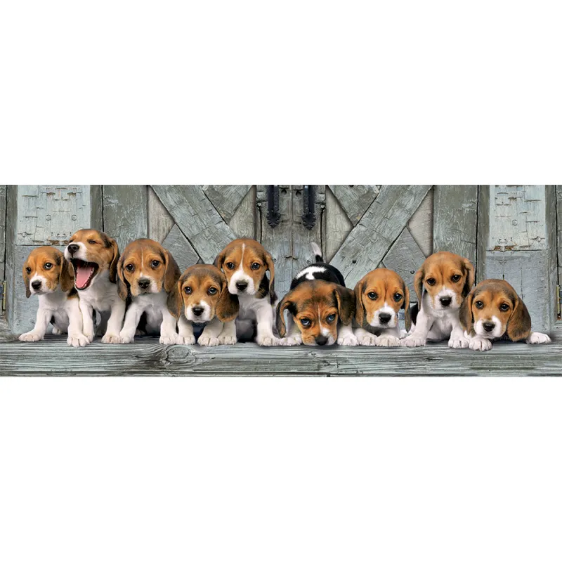 Clementoni Παζλ Panorama High Quality Collection Σκυλάκια Beagles 1000 τμχ - Compact Box