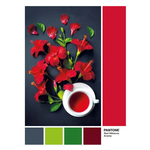 Clementoni Παζλ Pantone Κόκκινος Ιβίσκος 1000 τμχ