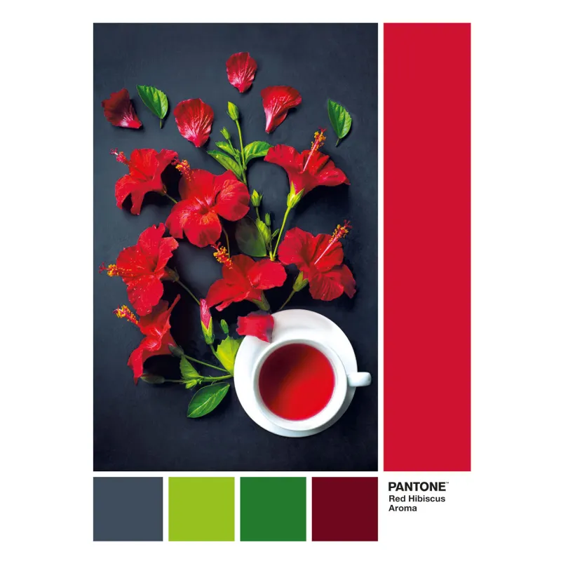 Clementoni Παζλ Pantone Κόκκινος Ιβίσκος 1000 τμχ