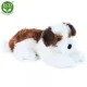 Rappa Λούτρινος Σκύλος Shih-tzu 45 εκ. Eco-Friendly (211551)