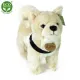 Rappa Λούτρινος Σκύλος Akita Inu 29 εκ. Eco-Friendly (211810)