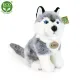 Rappa Λούτρινος Σκύλος Husky 30 εκ. Eco-Friendly (220188)