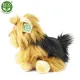 Rappa Λούτρινος Σκύλος Yorkshire Καθιστό 30 εκ. Eco-Friendly (844155)