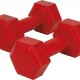 Amila Αλτήρας Εξάγωνος Plastic Series 1.00Kg (Ζευγάρι) - 44530 - Βαράκια