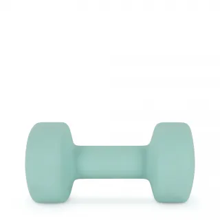 AMILA Neoprene Dumbbell 6Kg