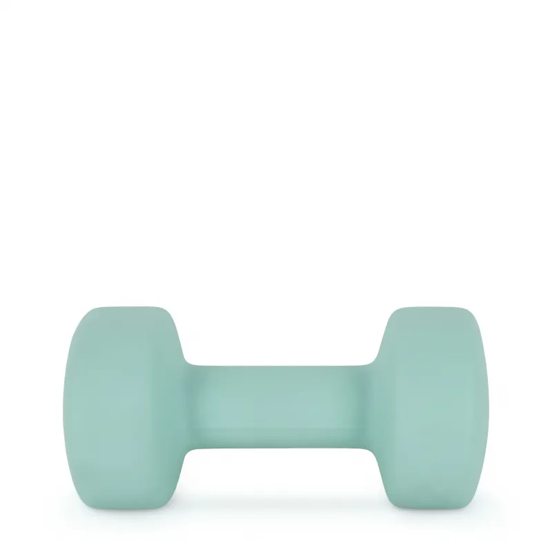 AMILA Neoprene Dumbbell 6Kg