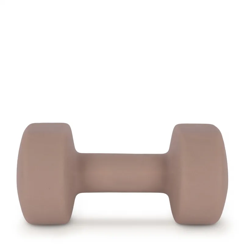 AMILA Neoprene Dumbbell 9Kg