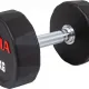 Aλτήρας Πολυγωνικός Polygon PU Series - 15,00Kg - Αλτήρες