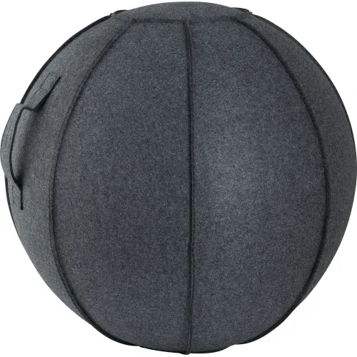 Amila Κάλυμμα για Μπάλα Γυμναστικής GYMBALL 65cm - 95886