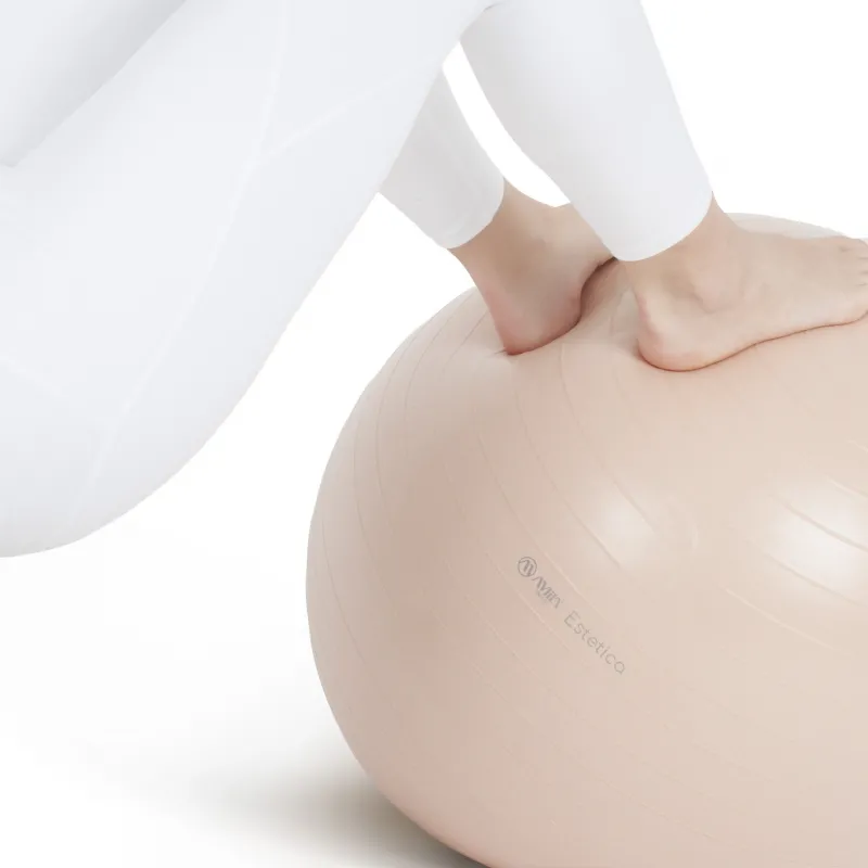 Amila Μπάλα Γυμναστικής Estetica Gym Ball 55 cm