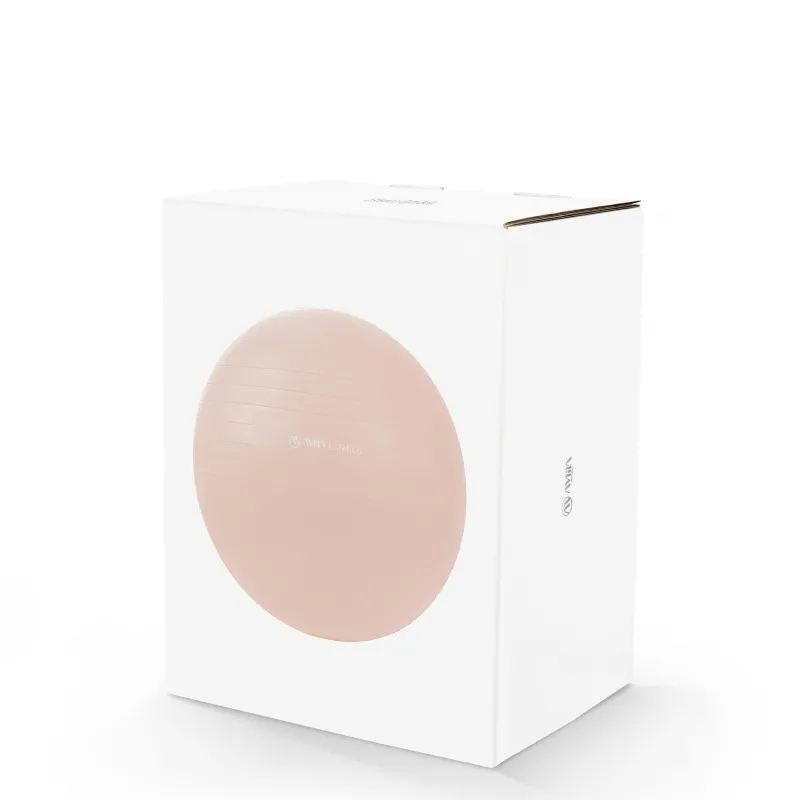 Amila Μπάλα Γυμναστικής Estetica Gym Ball 55 cm